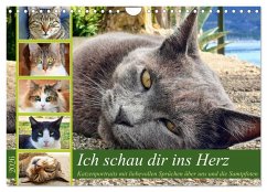 Ich schau dir ins Herz (Wandkalender 2026 DIN A4 quer), CALVENDO Monatskalender Ich schau dir ins Herz (Wandkalender 2026 DIN A4 quer), CALVENDO Monatskalender