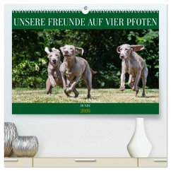 Unsere Freunde auf vier Pfoten - Hunde (hochwertiger Premium Wandkalender 2026 DIN A2 quer), Kunstdruck in Hochglanz Unsere Freunde auf vier Pfoten - Hunde (hochwertiger Premium Wandkalender 2026 DIN A2 quer), Kunstdruck in Hochglanz