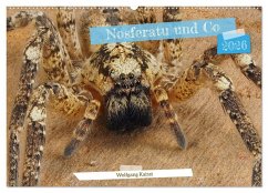 Cover Nosferatu und Co. (Wandkalender 2026 DIN A2 quer), CALVENDO Monatskalender