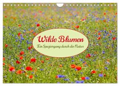 Cover Wilde Blumen - ein Spaziergang durch die Natur (Wandkalender 2026 DIN A4 quer), CALVENDO Monatskalender