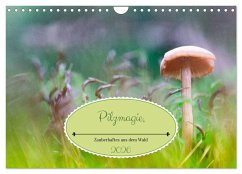 Cover Pilzmagie (Wandkalender 2026 DIN A4 quer), CALVENDO Monatskalender