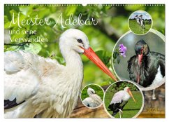 Cover Meister Adebar und seine Verwandten (Wandkalender 2026 DIN A2 quer), CALVENDO Monatskalender