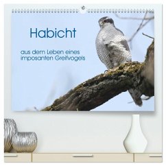 Habicht - aus dem Leben eines imposanten Greifvogels (hochwertiger Premium Wandkalender 2026 DIN A2 quer), Kunstdruck in Hochglanz