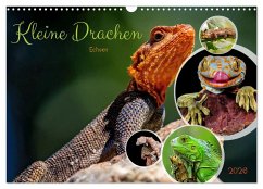 Cover Kleine Drachen - Echsen (Wandkalender 2026 DIN A3 quer), CALVENDO Monatskalender