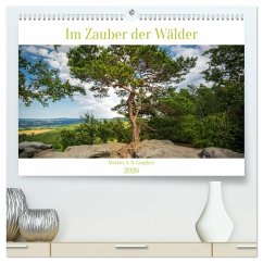 Im Zauber der Wälder (hochwertiger Premium Wandkalender 2026 DIN A2 quer), Kunstdruck in Hochglanz Im Zauber der Wälder (hochwertiger Premium Wandkalender 2026 DIN A2 quer), Kunstdruck in Hochglanz