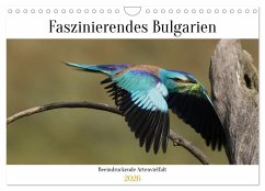 Faszinierendes Bulgarien (Wandkalender 2026 DIN A4 quer), CALVENDO Monatskalender Faszinierendes Bulgarien (Wandkalender 2026 DIN A4 quer), CALVENDO Monatskalender