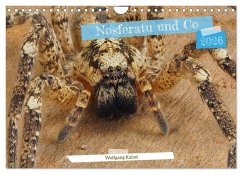 Cover Nosferatu und Co. (Wandkalender 2026 DIN A4 quer), CALVENDO Monatskalender