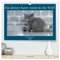 Cover Ein kleiner Kater entdeckt die Welt! (hochwertiger Premium Wandkalender 2026 DIN A2 quer), Kunstdruck in Hochglanz