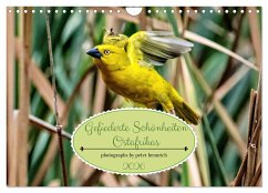 Gefiederte Schönheiten Ostafrikas (Wandkalender 2026 DIN A4 quer), CALVENDO Monatskalender Gefiederte Schönheiten Ostafrikas (Wandkalender 2026 DIN A4 quer), CALVENDO Monatskalender