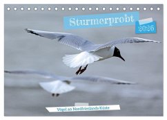 Sturmerprobt - Vögel an Nordfrieslands Küste (Tischkalender 2026 DIN A5 quer), CALVENDO Monatskalender