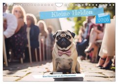 Kleine Helden - eine Hommage an die Mopsrasse (Wandkalender 2026 DIN A4 quer), CALVENDO Monatskalender Kleine Helden - eine Hommage an die Mopsrasse (Wandkalender 2026 DIN A4 quer), CALVENDO Monatskalender