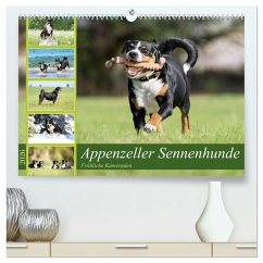 Cover Appenzeller Sennenhunde - Fröhliche Kameraden (hochwertiger Premium Wandkalender 2026 DIN A2 quer), Kunstdruck in Hochglanz