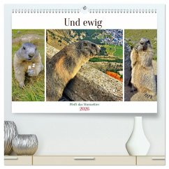 Cover Und ewig pfeift das Murmeltier (hochwertiger Premium Wandkalender 2026 DIN A2 quer), Kunstdruck in Hochglanz
