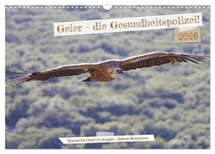 Geier - die Gesundheitspolizei! (Wandkalender 2026 DIN A3 quer), CALVENDO Monatskalender