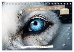 Schau mir ins Auge (Tischkalender 2026 DIN A5 quer), CALVENDO Monatskalender