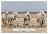 Die wilden Pferde der Camargue... - Bild 1
