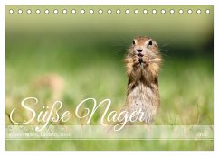 Süße Nager (Tischkalender 2026 DIN A5 quer), CALVENDO Monatskalender Süße Nager (Tischkalender 2026 DIN A5 quer), CALVENDO Monatskalender