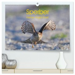Sperber - Kleiner Vogel Greif (hochwertiger Premium Wandkalender 2026 DIN A2 quer), Kunstdruck in Hochglanz