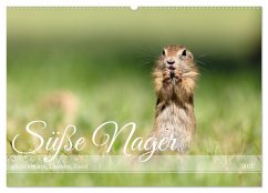 Süße Nager (Wandkalender 2026 DIN A2 quer), CALVENDO Monatskalender Süße Nager (Wandkalender 2026 DIN A2 quer), CALVENDO Monatskalender