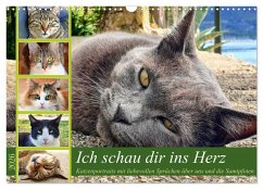 Ich schau dir ins Herz (Wandkalender 2026 DIN A3 quer), CALVENDO Monatskalender