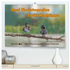 Zwei Tierfotografen Zwölf Highlights (hochwertiger Premium Wandkalender 2026 DIN A2 quer), Kunstdruck in Hochglanz Zwei Tierfotografen Zwölf Highlights (hochwertiger Premium Wandkalender 2026 DIN A2 quer), Kunstdruck in Hochglanz