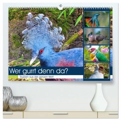 Cover Wer gurrt denn da? (hochwertiger Premium Wandkalender 2026 DIN A2 quer), Kunstdruck in Hochglanz