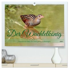 Der Wachtelkönig (hochwertiger Premium Wandkalender 2026 DIN A2 quer), Kunstdruck in Hochglanz Der Wachtelkönig (hochwertiger Premium Wandkalender 2026 DIN A2 quer), Kunstdruck in Hochglanz