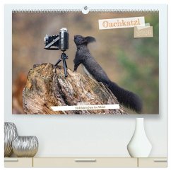 Oachkatzl (hochwertiger Premium Wandkalender 2026 DIN A2 quer), Kunstdruck in Hochglanz Oachkatzl (hochwertiger Premium Wandkalender 2026 DIN A2 quer), Kunstdruck in Hochglanz