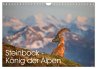 Steinbock - König der Alpen... - Bild 1
