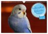 Wellensittichkalender! - Das Original... - Bild 1