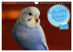 Wellensittichkalender! - Das Original (Wandkalender 2026 DIN A4 quer), CALVENDO Monatskalender Wellensittichkalender! - Das Original (Wandkalender 2026 DIN A4 quer), CALVENDO Monatskalender