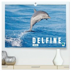 Delfine: Elegante Wellenreiter (hochwertiger Premium Wandkalender 2026 DIN A2 quer), Kunstdruck in Hochglanz