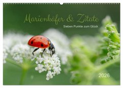 Cover Marienkäfer & Zitate - Sieben Punkte zum Glück (Wandkalender 2026 DIN A2 quer), CALVENDO Monatskalender