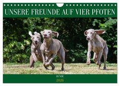 Unsere Freunde auf vier Pfoten - Hunde (Wandkalender 2026 DIN A4 quer), CALVENDO Monatskalender Unsere Freunde auf vier Pfoten - Hunde (Wandkalender 2026 DIN A4 quer), CALVENDO Monatskalender