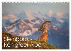 Steinbock - König der Alpen (Wandkalender 2026 DIN A3 quer), CALVENDO Monatskalender Cover Steinbock - König der Alpen (Wandkalender 2026 DIN A3 quer), CALVENDO Monatskalender