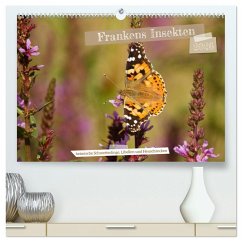 Frankens Insekten (hochwertiger Premium Wandkalender 2026 DIN A2 quer), Kunstdruck in Hochglanz Frankens Insekten (hochwertiger Premium Wandkalender 2026 DIN A2 quer), Kunstdruck in Hochglanz