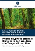 Prioria oxyphylla (Harms) Breteler in den Wäldern von Yangambi und Uma Prioria oxyphylla (Harms) Breteler in den Wäldern von Yangambi und Uma