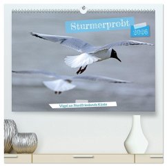 Sturmerprobt - Vögel an Nordfrieslands Küste (hochwertiger Premium Wandkalender 2026 DIN A2 quer), Kunstdruck in Hochglanz
