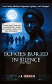 Echoes Buried In Silence Echoes Buried In Silence