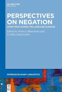 Cover Perspectives on Negation (eBook, PDF)