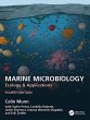 Marine Microbiology - Bild 1