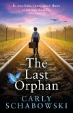 The Last Orphan (eBook, ePUB)