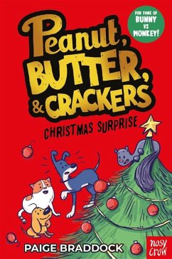 Cover Christmas Surprise (eBook, ePUB)