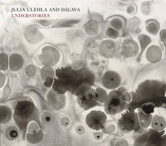 Cover Understories