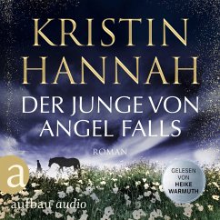 Cover Der Junge von Angel Falls (MP3-Download)