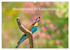 Bienenfresser im Kaiserstuhl (Wandkalender 2026 DIN A2 quer), CALVENDO Monatskalender