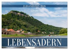 Lebensadern - Elbsandstein (Wandkalender 2026 DIN A2 quer), CALVENDO Monatskalender