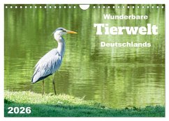 Wunderbare Tierwelt Deutschlands (Wandkalender 2026 DIN A4 quer), CALVENDO Monatskalender