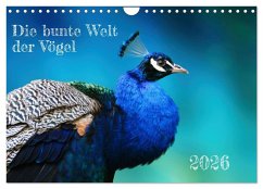Die bunte Welt der Vögel (Wandkalender 2026 DIN A4 quer), CALVENDO Monatskalender
