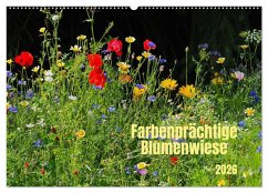 Farbenprächtige Blumenwiese (Wandkalender 2026 DIN A2 quer), CALVENDO Monatskalender Farbenprächtige Blumenwiese (Wandkalender 2026 DIN A2 quer), CALVENDO Monatskalender